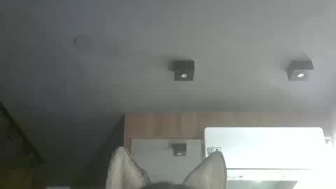 skinnykittencam online show from November 2025 01:16:01 AM