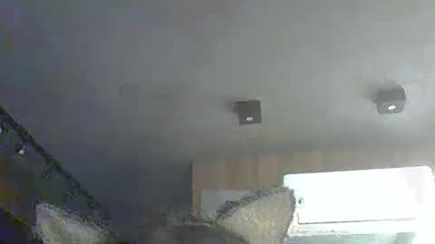 skinnykittencam online show from December 2025 10:31:01 AM