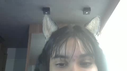 skinnykittencam online show from February 2026 12:56:01 PM