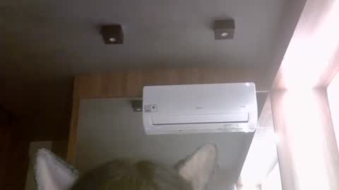 skinnykittencam online show from February 2026 11:29:02 AM