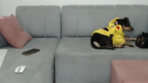 skinnylatin69 online show from February 2025 02:26:01 AM