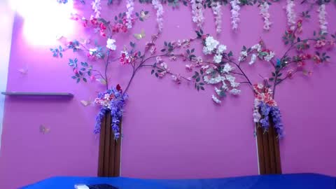 sofia online show from April 2026 12:54:02 PM