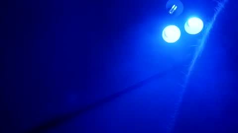 Skinz038 online show from April 2026 10:50:02 AM