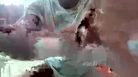 skip1975 online show from April 2026 04:10:02 AM