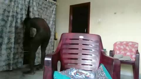 Indianslut1431 online show from April 2026 07:03:02 AM