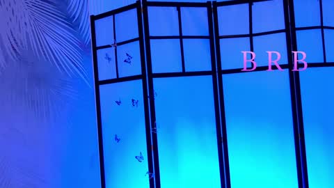 Snapshot of skyeyes__ chatting on February 2025 11:12:02 AM Ann online show from February 2025 11:12:02 AM