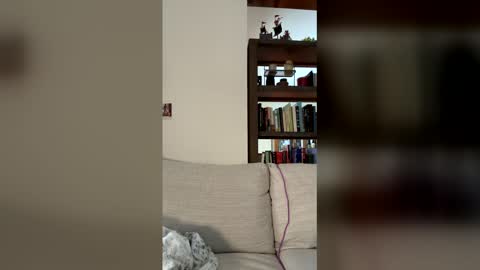 Snapshot of skywinters chatting on February 2026 04:27:02 PM Sky Winters online show from February 2026 04:27:02 PM