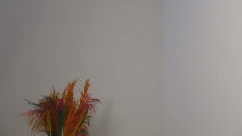 Bella online show from February 2025 03:38:01 PM