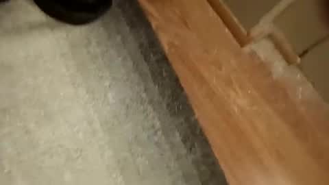 slickdog58 online show from September 2025 07:47:01 PM