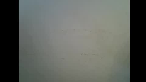 Teddy online show from September 2025 10:02:01 PM