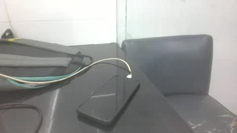 Snapshot of slothslav chatting on January 2025 12:09:02 PM slothslav online show from January 2025 12:09:02 PM