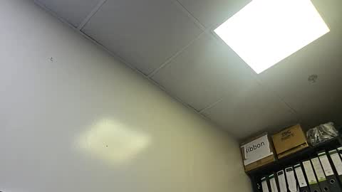 Snapshot of slothslav chatting on October 2025 02:04:02 AM slothslav online show from October 2025 02:04:02 AM