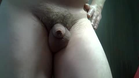 small online show from March 2026 02:35:02 PM