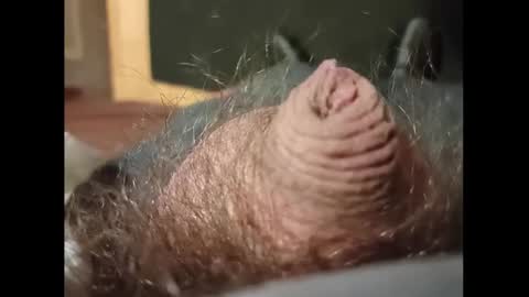 Snapshot of smallhairyuncut chatting on January 2025 03:37:01 AM Small Hairy Uncut online show from January 2025 03:37:01 AM