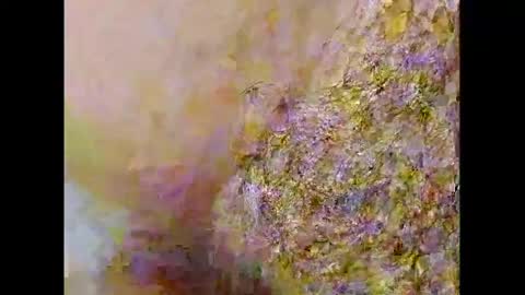 Snapshot of smallhairyuncut chatting on February 2025 10:09:01 PM Small Hairy Uncut online show from February 2025 10:09:01 PM