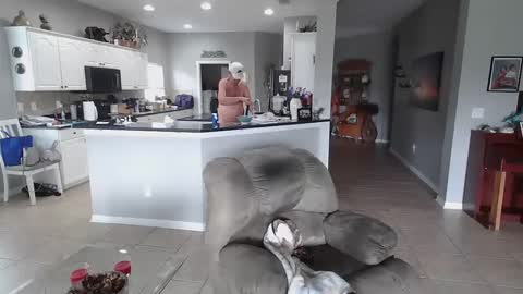 Daddy online show from January 2025 02:49:01 PM