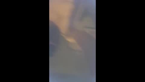 Snapshot of smcock68 chatting on March 2026 11:21:01 PM smcock68 online show from March 2026 11:21:01 PM