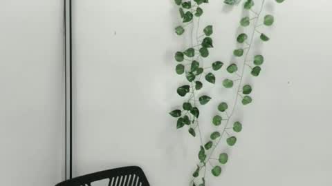 Snapshot of smellon_shake chatting on October 2025 06:33:01 AM Julia online show from October 2025 06:33:01 AM