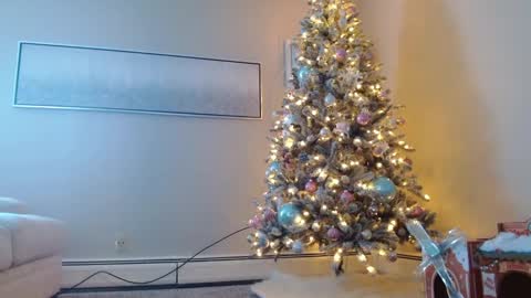 Snapshot of smexy_bun chatting on December 2024 05:24:01 PM Smexy online show from December 2024 05:24:01 PM