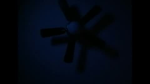 smoke-4-me online show from February 2026 01:08:02 PM