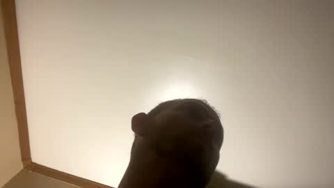 smokeymt420 online show from March 2025 06:54:02 AM