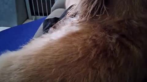 Snapshot of smokynight chatting on September 2025 08:57:01 PM smokynight online show from September 2025 08:57:01 PM