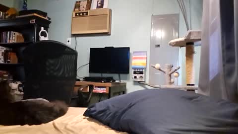 Snackyyyy online show from March 2026 06:00:01 PM