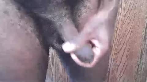 Snapshot of snkr1244 chatting on September 2025 06:29:02 PM snkr1244 online show from September 2025 06:29:02 PM