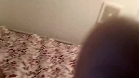 snomann01 online show from January 2025 01:16:02 AM