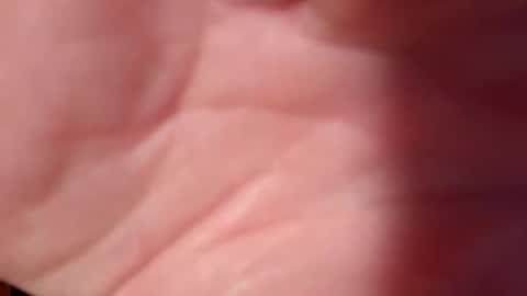 Snooty online show from February 2025 10:51:01 PM