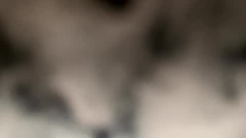 Snapshot of snowbunnyamy chatting on March 2026 08:37:02 PM snowbunnyamy online show from March 2026 08:37:02 PM