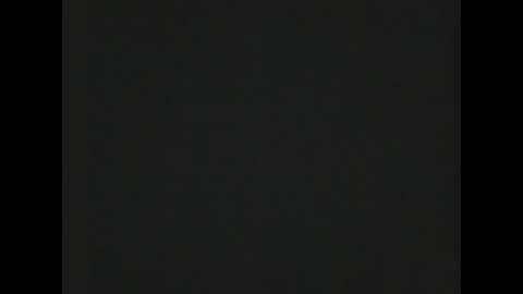 Snapshot of snowpiercer11 chatting on January 2025 11:34:02 AM snowpiercer11 online show from January 2025 11:34:02 AM