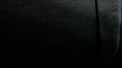 Snapshot of snuffalufagus chatting on December 2024 06:35:01 PM Adam online show from December 2024 06:35:01 PM