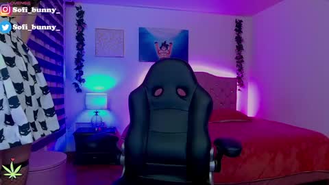 soffi_bunny_ online show from February 2025 06:07:01 AM