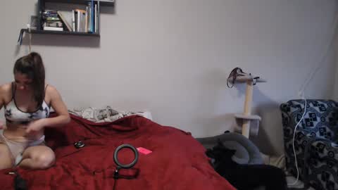 Sofi online show from December 2024 11:29:02 AM