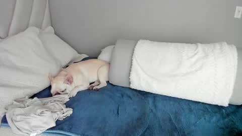 sofia_rivers_ online show from March 2025 12:23:01 PM