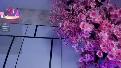 Snapshot of sofii_jones chatting on June 2026 06:48:02 AM sofii_jones online show from June 2026 06:48:02 AM