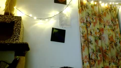 Snapshot of soka_lovers_04_ chatting on February 2026 03:46:02 AM Sofia online show from February 2026 03:46:02 AM