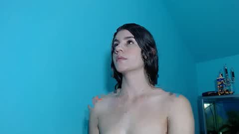 sol9931 online show from February 2025 04:24:02 AM