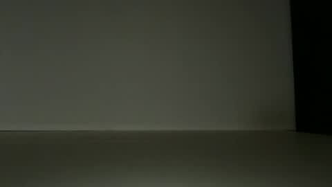 L4 online show from June 2026 08:58:01 AM