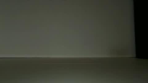 L4 online show from June 2026 08:51:01 AM