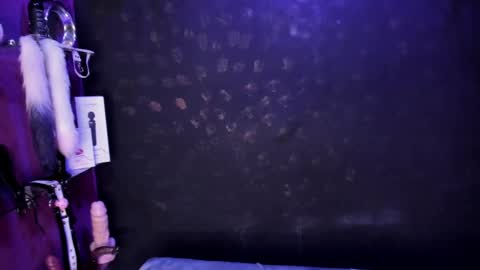 Alexa online show from February 2025 11:48:02 PM