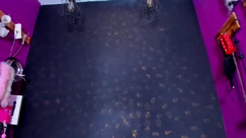 Alexa online show from November 2025 07:48:02 PM