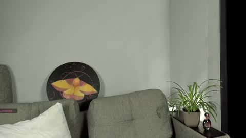   FREE tg chanel online show from January 2025 10:57:01 PM