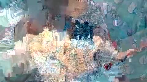 Sophia Tamil online show from January 2025 10:31:02 AM