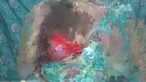 Sophia Tamil online show from February 2025 09:47:02 AM