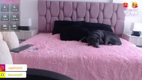 Sophia Carson online show from January 2025 05:11:02 PM