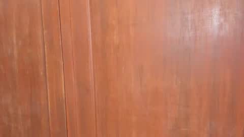 Snapshot of sophiia88 chatting on February 2026 12:01:02 PM Shopiia88 online show from February 2026 12:01:02 PM