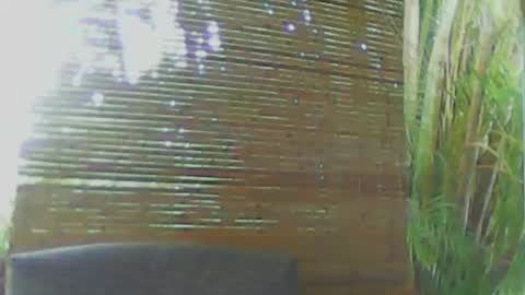 soveryhandsome online show from January 2025 11:00:01 PM