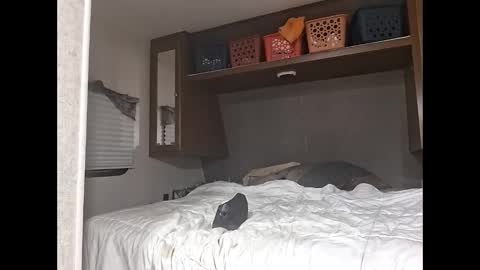 speedo_tx online show from March 2026 05:11:01 AM